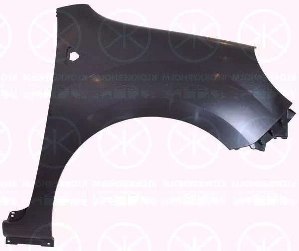 RENAULT KANGOO BE BOP (KW0/1_)