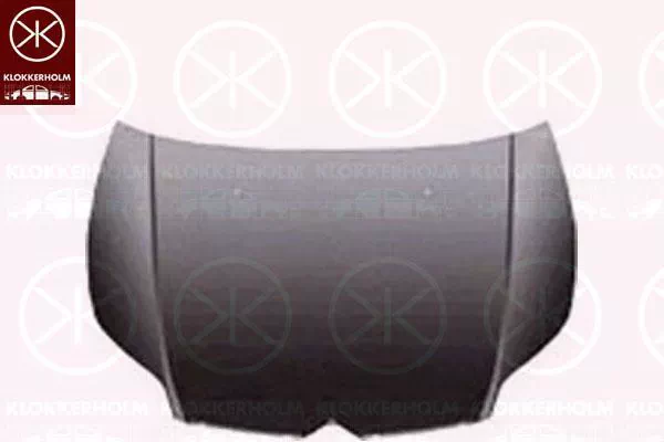 CITROEN C5 II BREAK (RE_)