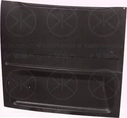 FORD TRANSIT BUS (T_ _)