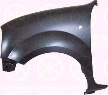 RENAULT KANGOO EXPRESS (FC0/1_)