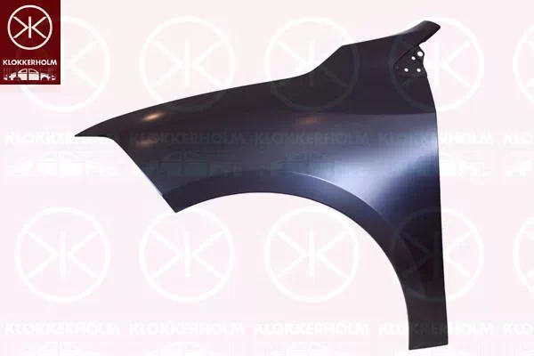 RENAULT FLUENCE (L30_)