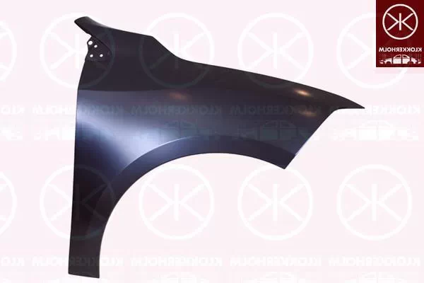 RENAULT FLUENCE (L30_)