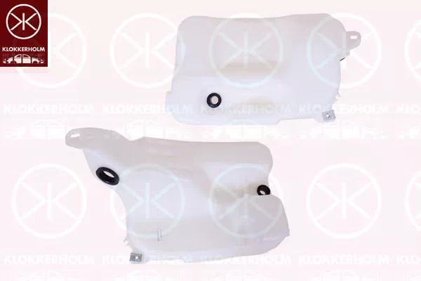 RENAULT FLUENCE (L30_)