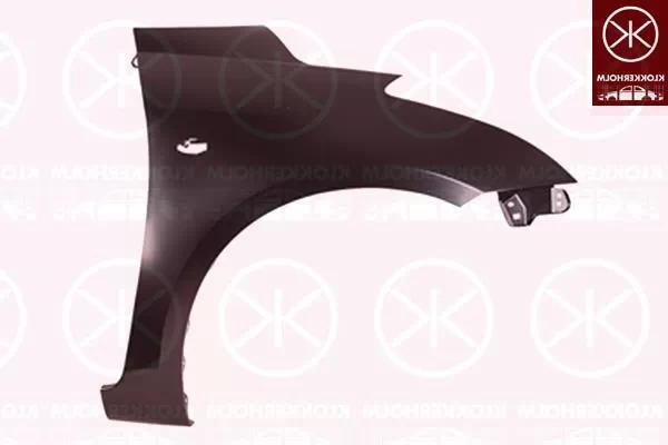 SUZUKI SWIFT IV (FZ, NZ)