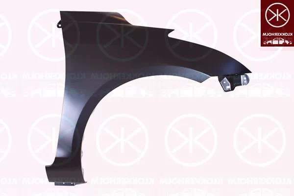 SUZUKI SWIFT IV (FZ, NZ)