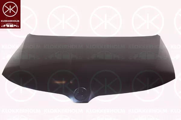 SKODA RAPID SPACEBACK (NH1)